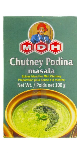 MDH Chutney Podina Masala 100g-0