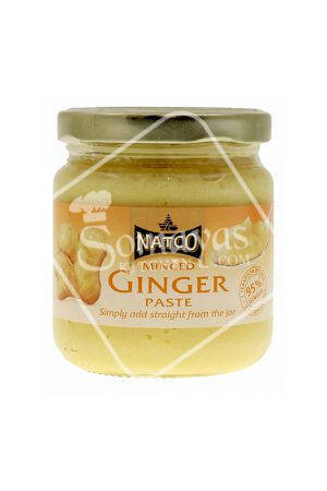 Natco Ginger Paste 190g-0