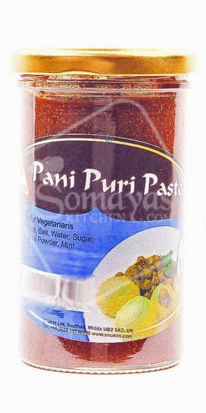 Sounas Pani Puri Paste-0