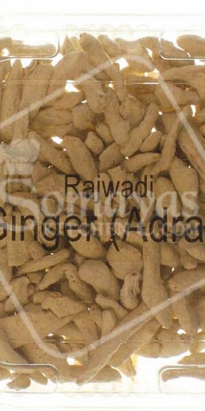 Fudco Rajwadi Ginger 100g-0