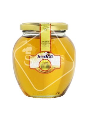 Hasbal Honey With Syrup 450g-0