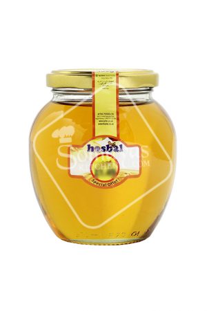 Hasbal Honey With Syrup 450g-0