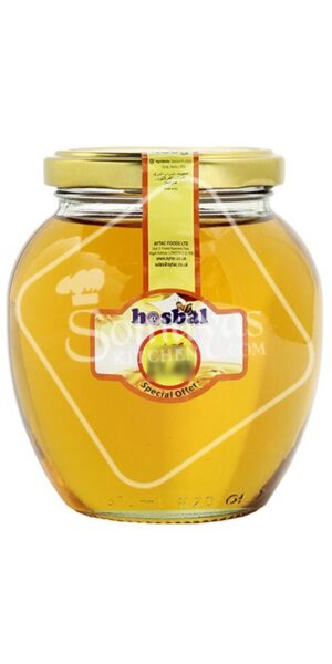 Hasbal Honey With Syrup 450g-0