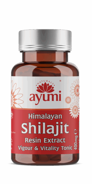 Hesh Shilajit Capsules 25g