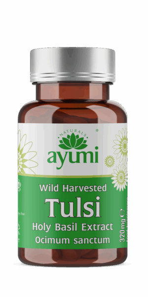 Hesh Tulsi 60 Capsules