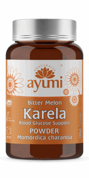 Hesh Karela Powder 100g