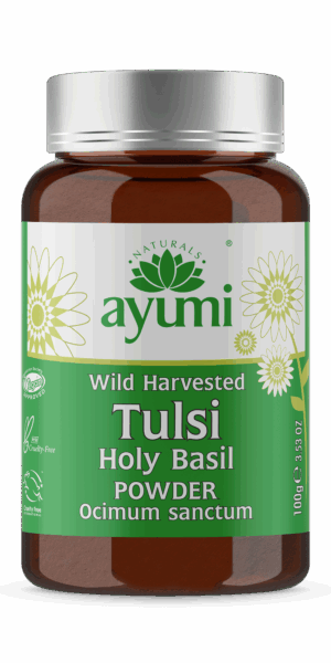 Hesh Tulsi-Basil Powder 100g