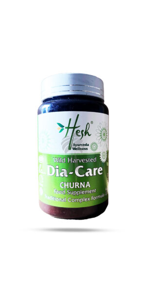 Hesh Dia-Care Churna 100g