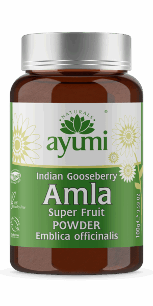 Hesh Amla Powder 100g