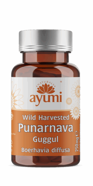 Hesh Punarnava Guggul Vegcaps 60 Capsules