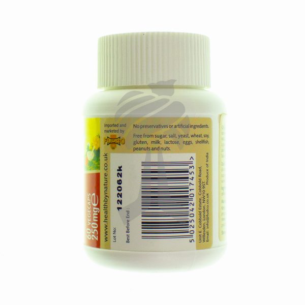 Hesh Guggul Vegecaps 250mg-27655