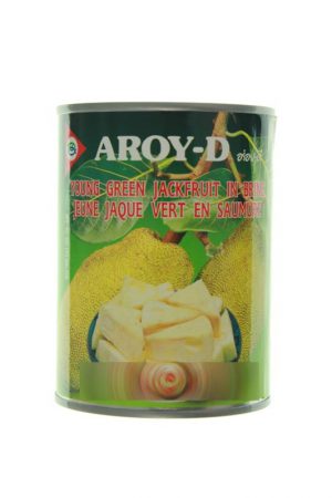 Aroy-D Young Green Jackfruit Tin 565g-0