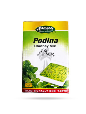 Alamgeer Podina Chutney Mix 50g