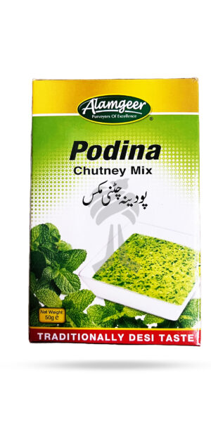 Alamgeer Podina Chutney Mix 50g