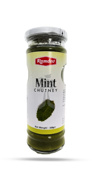 Ramdev Mint Chutney 220g