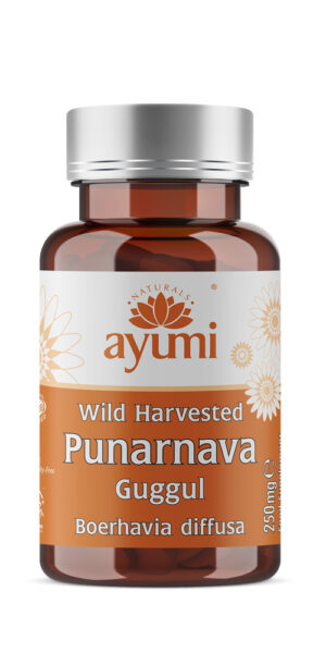 Ayumi Vegan Punarnava Guggul 60 Caps