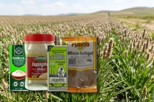 health benefits of ispaghula or psyllium husk